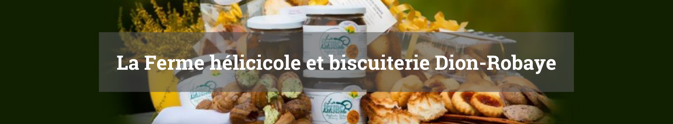 Dion biscuiterie