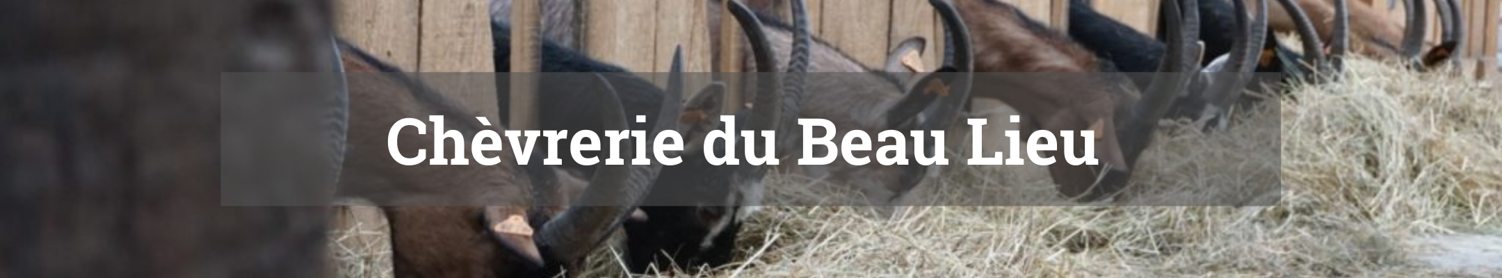 chèvrerie