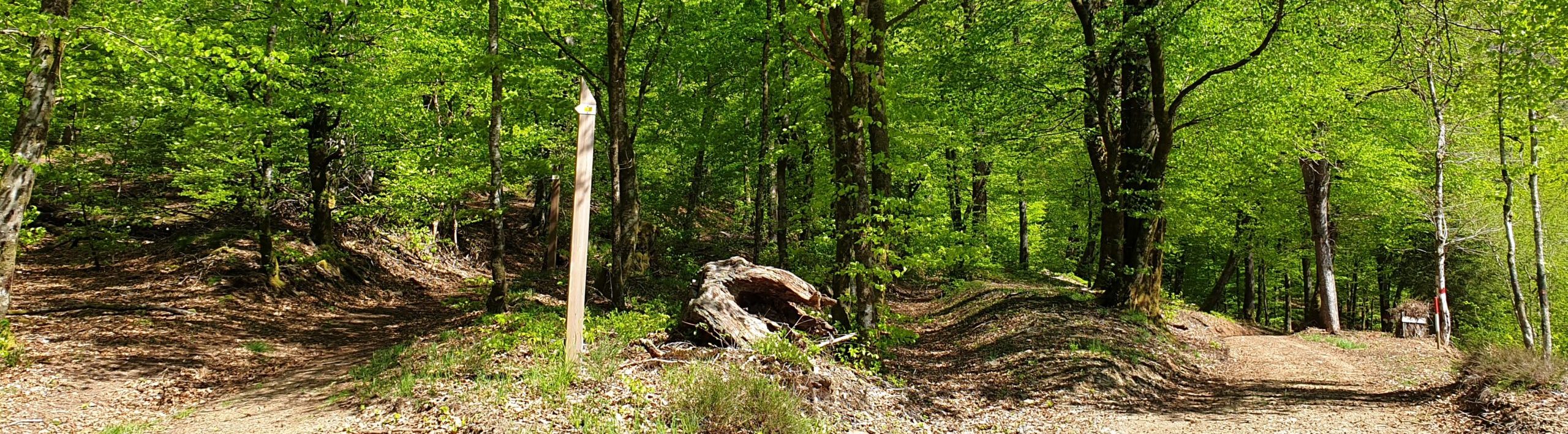 Balade au pays des sources - Léglise