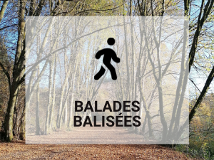 balades balisées menu