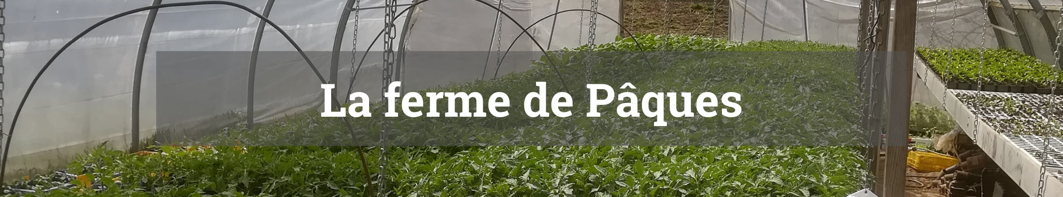 titre fiche producteurs-6