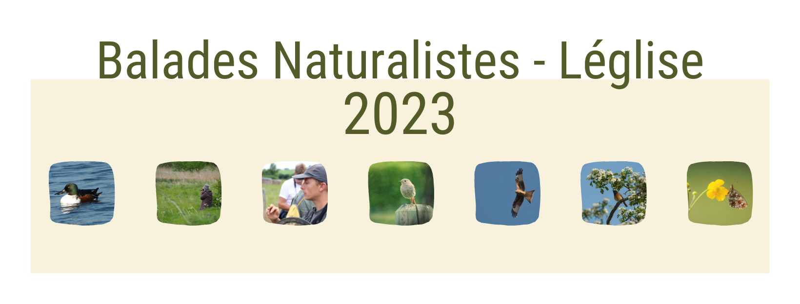 Balades naturalistes Léglise 2023 Balades naturalistes Léglise 2023