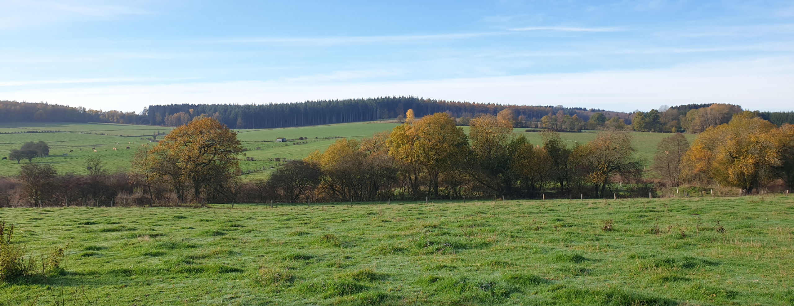 Photo-Site