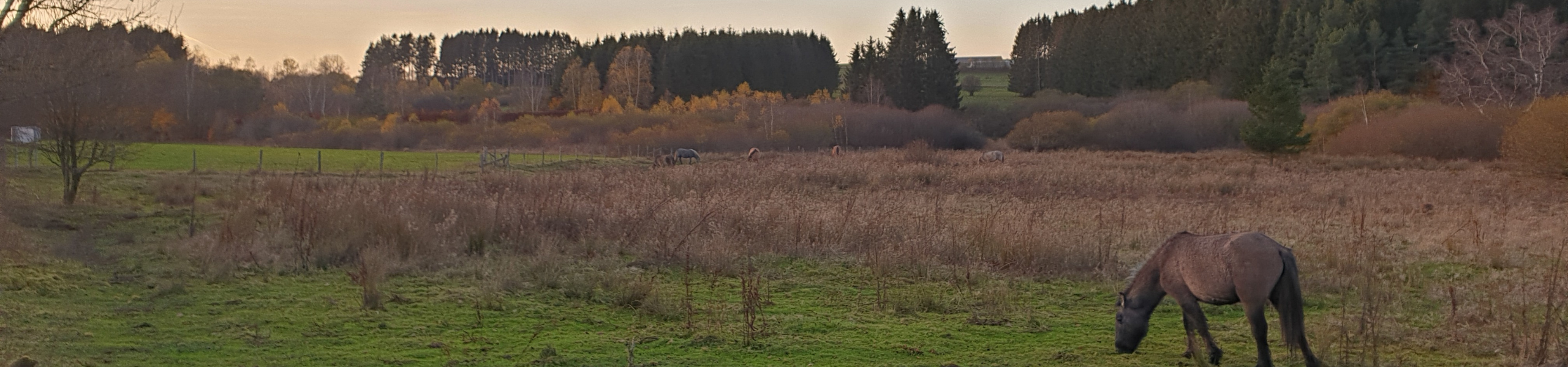 Paysage novembre Léglise