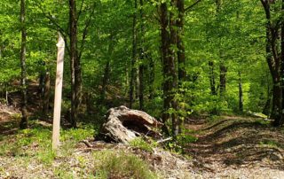 Balade au pays des sources - Léglise