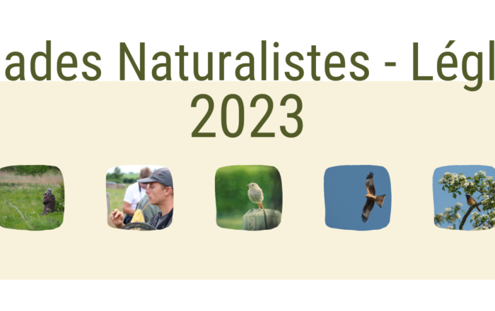 Balades naturalistes Léglise 2023