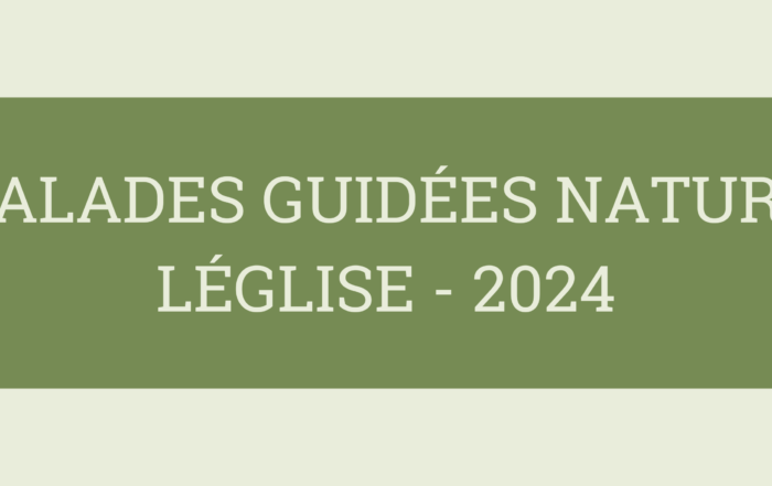 Balades guidées nature Léglise 2024