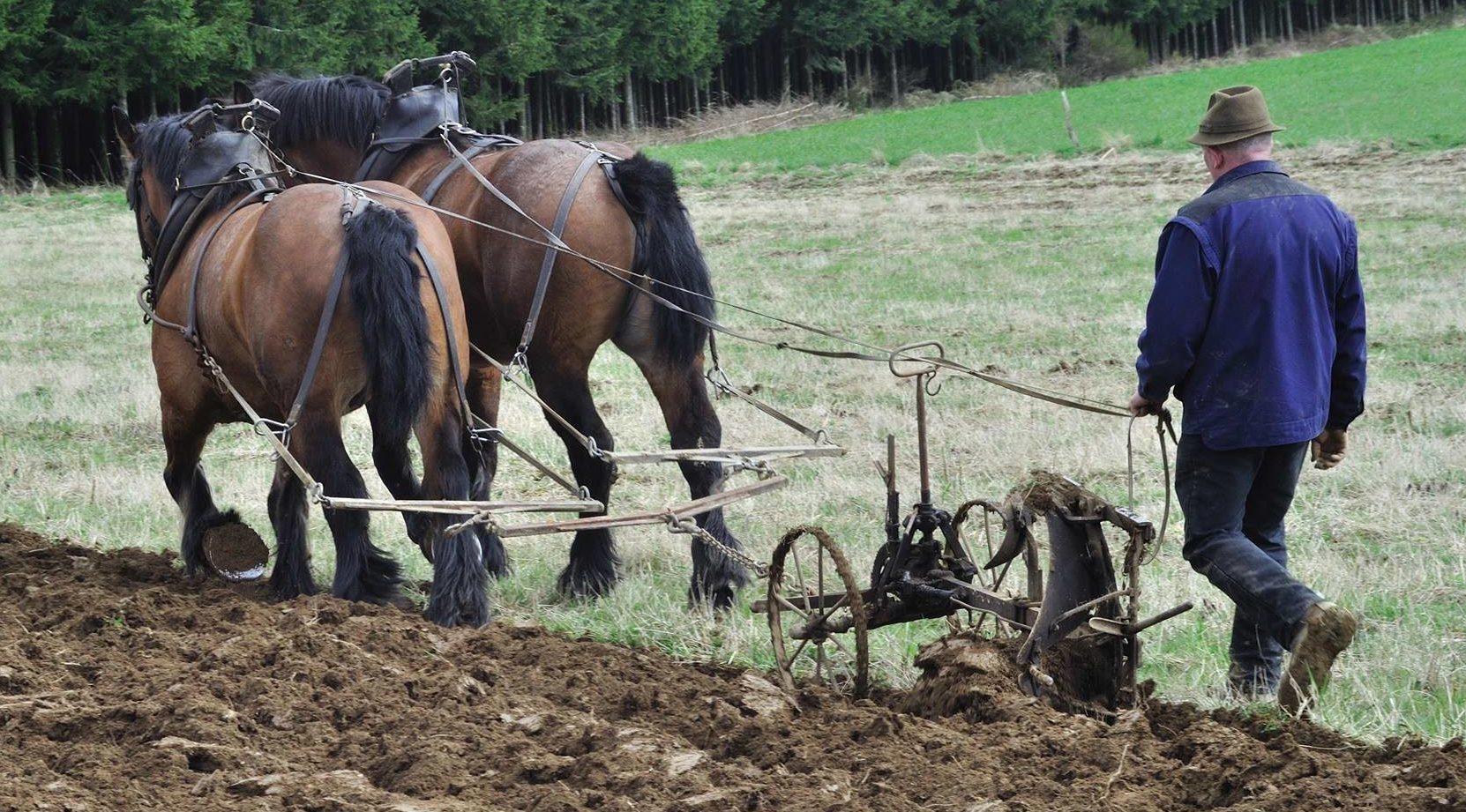 fete-labour-Beheme-visitleglise-1