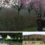 Journée des randonnées Wittimont