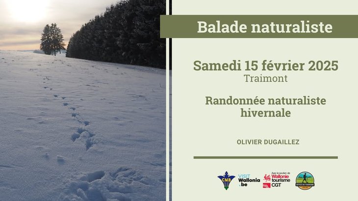 Balades Naturaliste Traimont