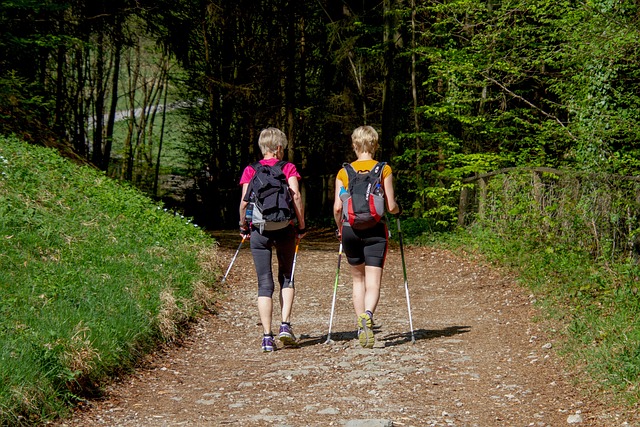 Marche dans la foret