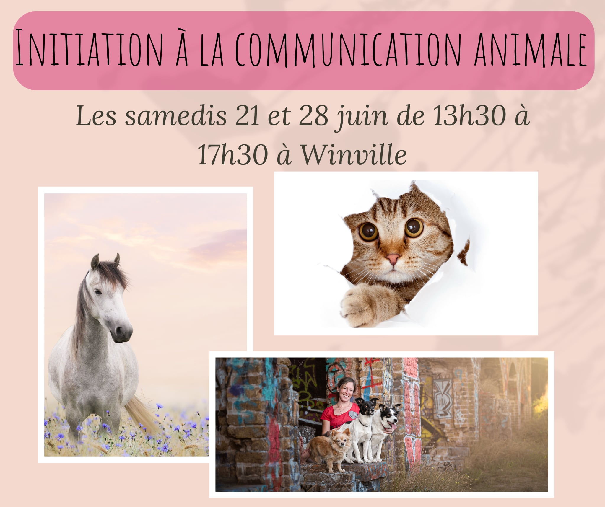 Initiation à la communication animale (002)