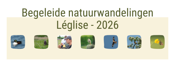 begeleide natuurwandelingen
